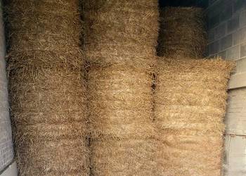 Sprzedam słomę sezon 2025