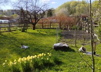 Działka ROD Kalina ul. Zawilcowa Lublin