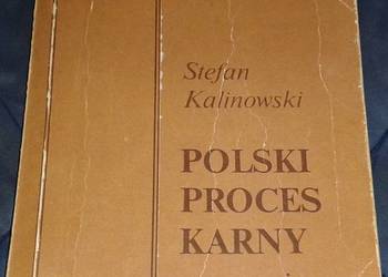 Polski proces karny w zarysie - Stefan Kalinowski