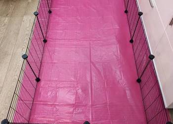 Koniec z ciasną klatką! Duży kojec wybieg dla świnki morskiej