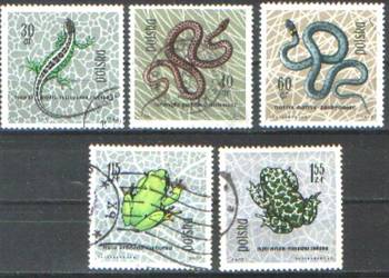 Zn. Fi 1245, 6, 8, 50, 3 kas 1963