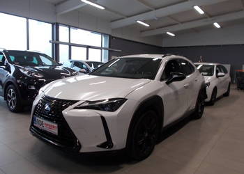 LEXUS UX 250H b+EE, Automat,Salon Polska
