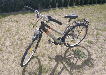 Rower ALU-REX