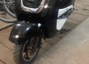 Skuter KillerBee 50 cm