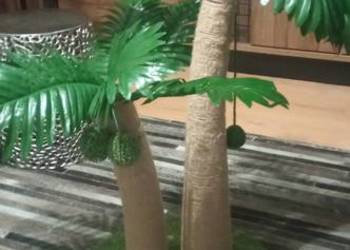 Drapak dla kota palma tropikalna kokosowa, piękny