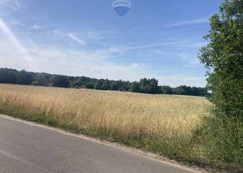 Działka budowlana 3000 m² – Ruda Radzymin