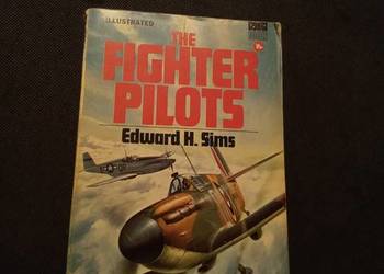 The fighter pilots. Po angielsku!