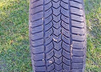 Opona zimowa 215/55/16 frigo HP 2