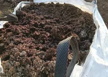 Kurzak - obornik kurzy, czysty, bez podkładu | BigBagi 600kg | Worki