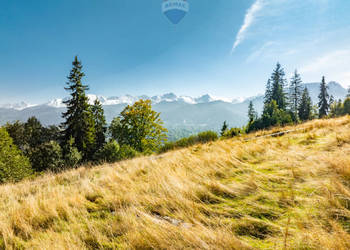Działka rolna ul. Kotelnica Zakopane