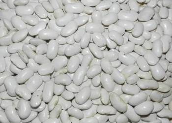 Fasola biała