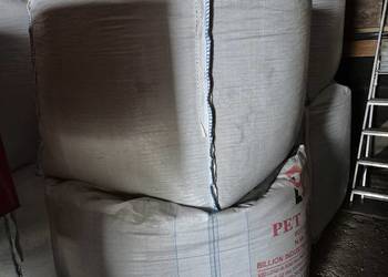 Pszenżyto ozimego 1.5tony