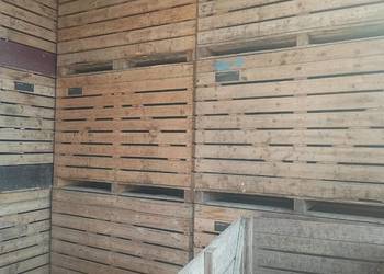 Skrzyniopalety omnivent