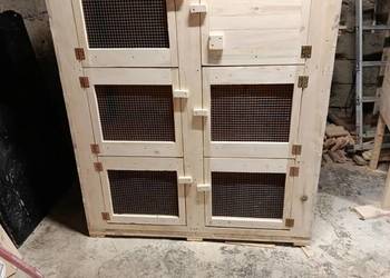 Klatki dla królików