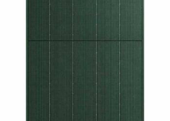 Panel Fotowoltaiczny DAH Solar Bifacial 430W Green frame (zielony)