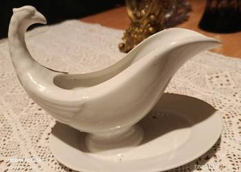 Sosierka stuletnia orzeł