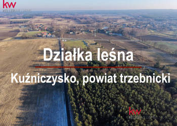 Sprzedam działka Kuźniczysko 20200m2