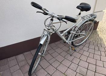 Rower Męski Alu Trekking Star