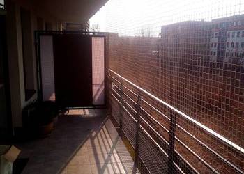 Montaż siatki zabezpieczającej na balkonie dla kota Warszawa Montaż siatki zabezpieczającej na balkonie dla kota Warszawa