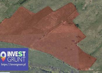 [49,25 ha] przetarg na dzierżawę gruntów rolnych