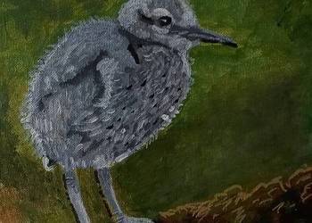 pisklę czapli akryle A5