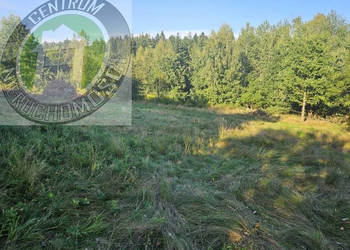 Oferta sprzedaży działki Mystków 9500m2