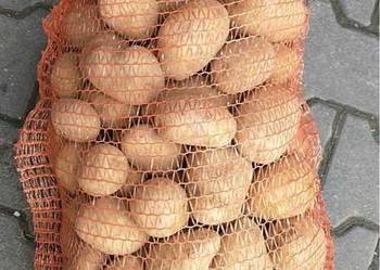 Ziemniaki soraja Ziemniaki soraja