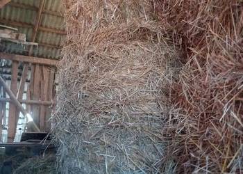 Sprzedam siano słome