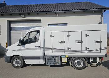 Mercedes-Benz Sprinter 310 CDI Mroźnia, chłodnia COLD CAR