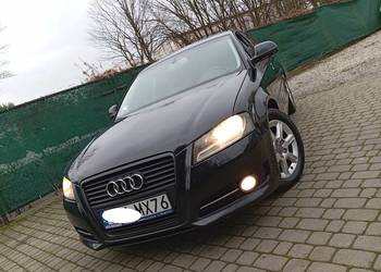 AUDI / A3 / LIFT / 1.9 / TDI / ŁADNA / 5 - DRZWI / ZAREJESTR / 