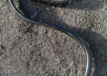 Ząb agregatu uprawowego sprężynowy typu S