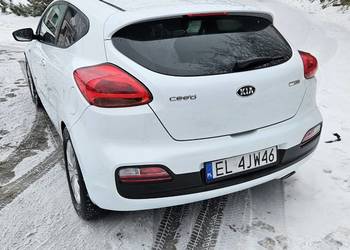 Piękna i wygodna Kia ProCee'd Turbo podgrzewana kierownica i siedzenia