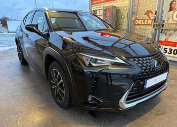 Lexus UX 250h 2022