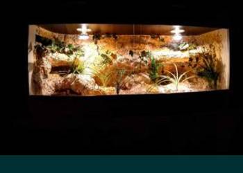 Okazja terrarium dla agamy gekona żółwia węża kameleona legwana boa pająka