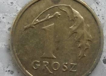 POLSKA-1 GROSZ-2007 r (SKRĘTKA)