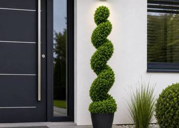 Stylowy bukszpan w formie spirali 120 cm