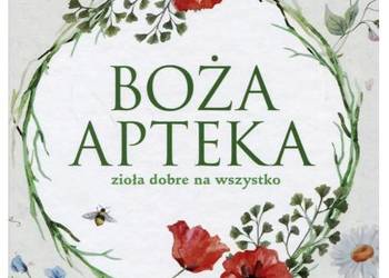 Boża aptek Zioła dobre na wszystko David Hoffmann
