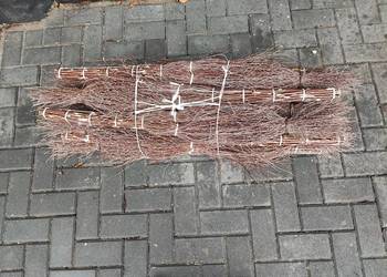 Miotła brzozowa od producenta