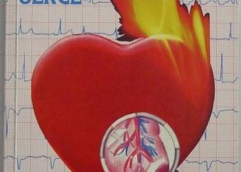 JAK DBAĆ O SWOJE SERCE - DZIKOWSKI WŁODZIMIERZ