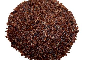 Babka lancetowata wąskolistna nasiona zbiór 2025