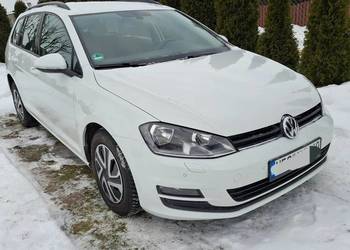 Samochód Golf 7 Bluemotion 1.2 tsi