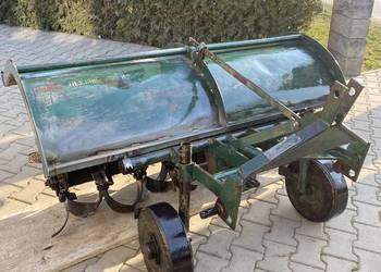 Glebogryzka Grudziądzka