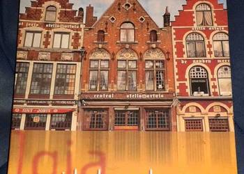 Belgia i Luksemburg. Praktyczny Przewodnik - M. Dunford