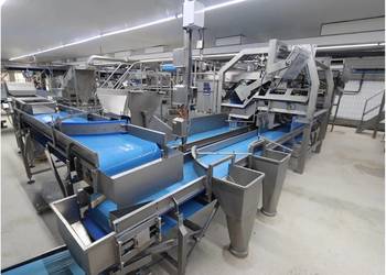 Odenberg / Tomra Linia sortowania ziemniaków