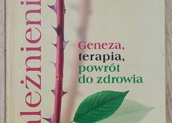 Uzależnienia. Geneza, terapia, powrót do zdrowia - Bohdan T. Woronowicz