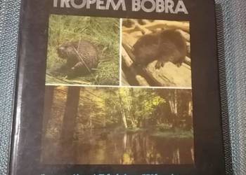 Tropem Bobra
