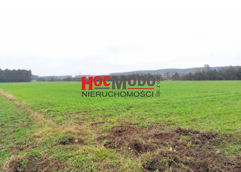 Działka budowlana w Serocku