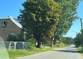 Syndyk sprzeda udział 3/16 w nieruchomości rolnej - Rogożynek, gm. Lipsk