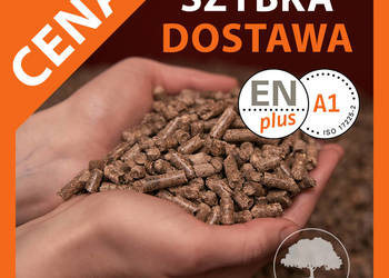 Pellet drzewny En plus A1 Olczyk Beskidy Rezult