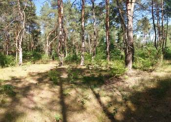 Działka Popowo-Letnisko 2000m2 MPZP